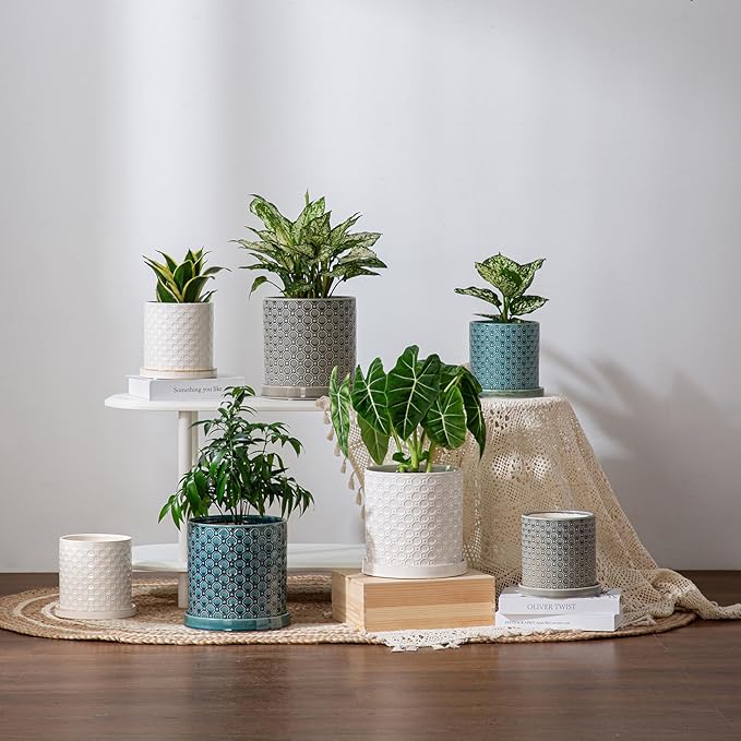 8 Inch Plant Pot: Ceramic Planter with Drainage Hole & Saucer Indoor Outdoor Plants - Cylinder Round Flower Pot for Home Office - Modern Decorative - Medium White