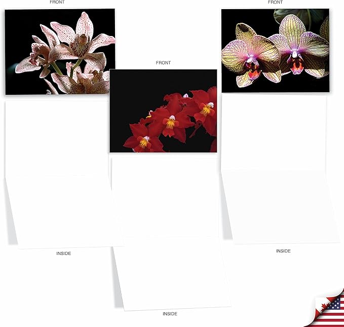 The Best Card Company - 10 Blank Note Cards with Flowers (4 x 5.12 Inch) - Floral Notecards, All Occasion Boxed Assortment - Orchid Nights M1734BN