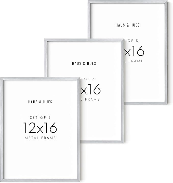 HAUS AND HUES 12x16 Silver Picture Frames - Set of 3 Modern Aluminum Frames for Posters, Prints, or Gallery Walls (12x16 in, Silver, Set of 3)