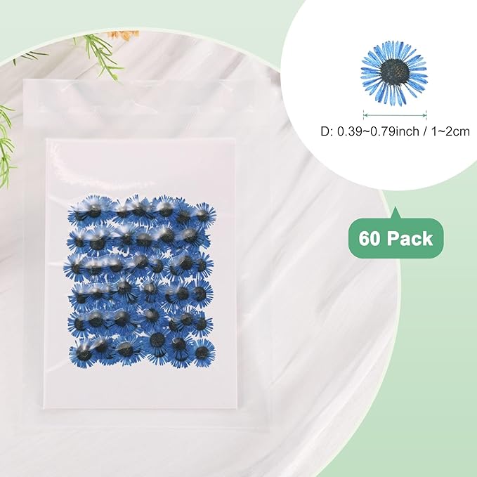 60-Pack Dried Pressed Flowers for Resin, Real Natural Bulk Dry Floral for Crafts/DIY Jewelry/Soap Making/Scrapbooking/Handmade Candle/Epoxy Resin Supplies [Blue]