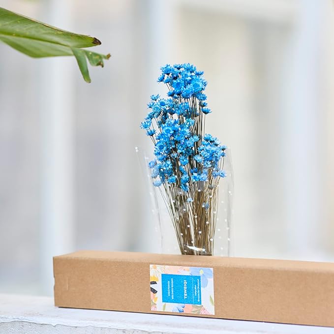 Natural - Dried - Flowers Brazilian Small Star Daisy Dried Decorative Mini Chamomile Bouquet for Wedding Floral Arrangements Home Decorations Valentine's Day Gifts (200 Stems) (Indigo Blue)