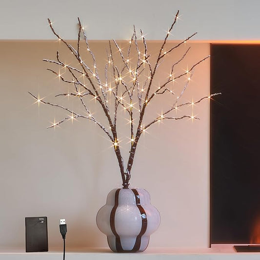 Hairui Lighted Willow Branches Snow Dusted Battery Operated with Timer, Tree Branch Lights 32IN 100 LED Fairy Lights for Home Bedroom Fireplace Thanksgiving Christmas Decor (Vase Excluded)