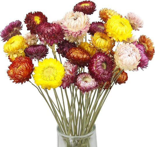 20 Pcs Natural Dried Daisy Flowers Bouquet Dried Flower Multicolor Daisies Dried Sunflowers Chrysanthemum Dry Flower with Stem for Wedding Farmhouse Table Vase Decor Home DIY Floral Arrangement