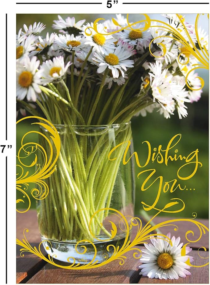 Current Deluxe Foil All Occasion Value Pack - 20 Cards With Envelopes, Celebration, Get Well, Sympathy, Birthday, Anniversary & Thinking of You Variety, Large 5" x 7" Assortment, 10 Design Set