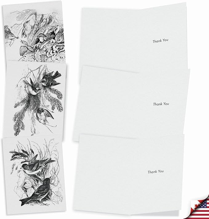 The Best Card Company - 10 Bird Note Cards Blank (4 x 5.12 Inch) - All Occasion Cards with Envelopes, Boxed Set - Wing Notes M6475OCB