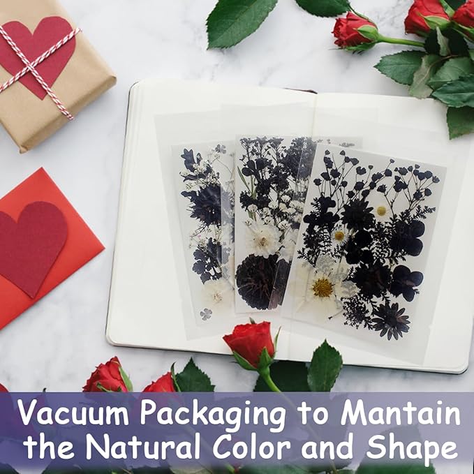 Real Dried Pressed Leaves Natural Dried Leaf for Candle Resin Jewelry Soap Nail Pendant Phone Case Crafts Making Floral Decors Scrapbooking DIY (63 Pcs Black Dried Leaves)