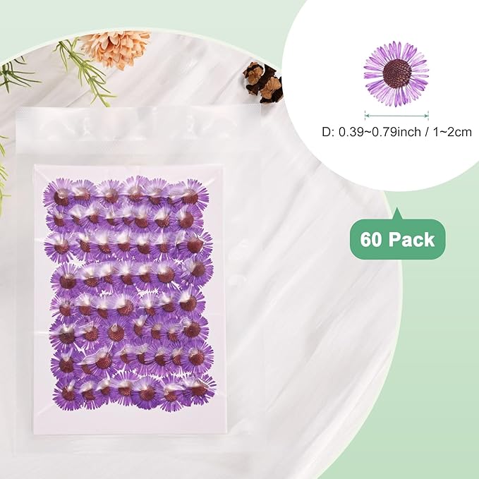 60-Pack Dried Pressed Flowers for Resin, Real Natural Bulk Dry Floral for Crafts/DIY Jewelry/Soap Making/Scrapbooking/Handmade Candle/Epoxy Resin Supplies [Dark Purple]