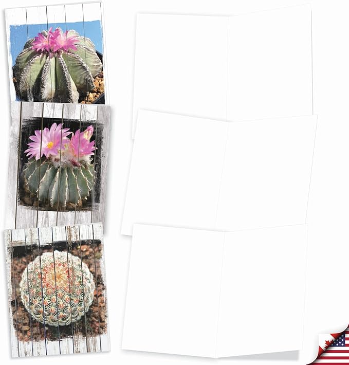The Best Card Company - 10 Blank Note Cards with Envelopes (4 x 5.12 Inch) - Bulk All Occasion Cards Boxed - Flowering Cactus Spheres AM6439OCB-B1x10