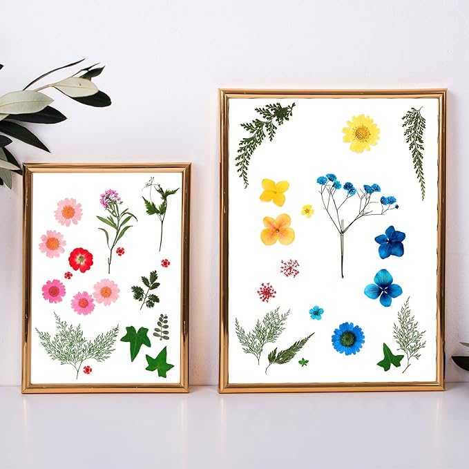 Nuanchu Dried Pressed Flowers for Crafts Resin Christmas Dried Flowers Bulk Real Natural Pressed Wildflowers with Tweezer for Resin Mold Scrapbooking Nail Soap Candle Cake Card Making DIY Supplies