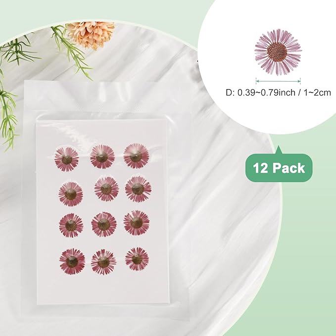 12-Pack Dried Pressed Flowers for Resin, Real Natural Bulk Dry Floral for Crafts/DIY Jewelry/Soap Making/Scrapbooking/Candle/Epoxy Resin Supplies [Rose Pink]