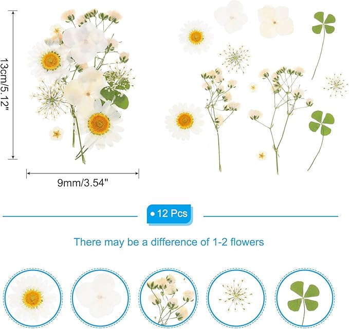 PATIKIL Dried Pressed Flowers, Real Dry Leaves Pressed Bloom for Scrapbook Supplies Card Making Resin Jewelry Making Soap Candle DIY Crafts, White