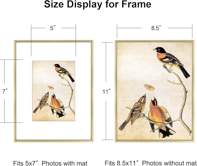 8.5x11 Picture Frame, Brass Metal Photo Frames with HD Glass, Fits 5x7 with Mat or 8.5 x 11 without Mat, Display for Wall and Table, 1 Pack