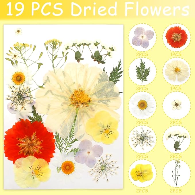 Real Dried Pressed Leaves for Candle Resin Jewelry Soap Nail Pendant Phone Case Crafts Making Floral Decors Scrapbooking DIY (56 Pcs Natural Leaf Flowers)