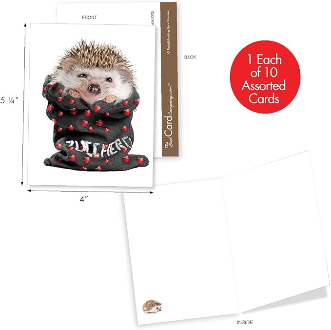 The Best Card Company - 10 Blank Animal Cards Boxed (4 x 5.12 Inch) - Assorted Pets, Zoo, Wildlife Cards for Kids - Cards from the Hedge M6541OCB