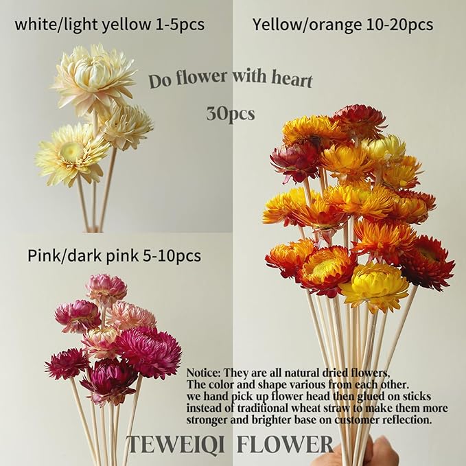 Natural Dried Straw Flower 20pcs, Natural Flowers Bouquet Daisies, Dried Daisies, Home Decoration,DIY Flower Arrangement