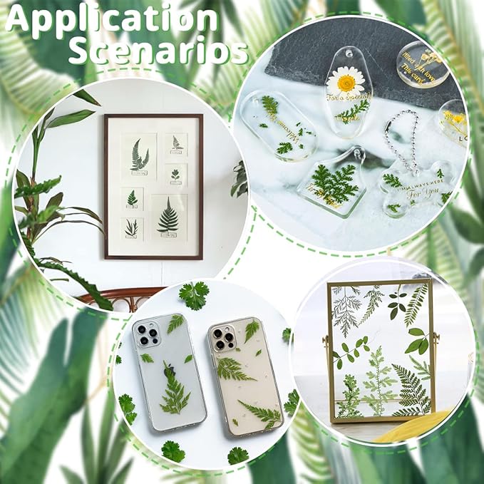 Cinvo 63 Pcs Real Dried Pressed Leaves Natural Assorted Dried Greenery with Tweezer for Resin Candle Jewelry Soap Nail Pendant Phone Case Art Craft DIY Embellishment Decorations(2023