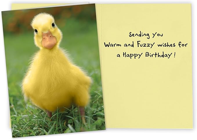 Birthday Card for women, Funny Birthday cards for kids, sister, daughter, mom, grandmother, teen, anyone who needs warm fuzzies.