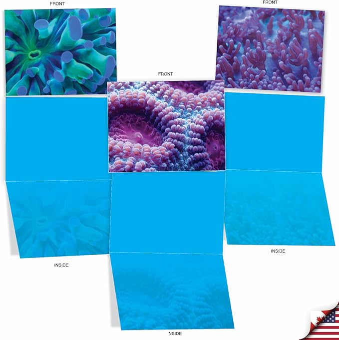 The Best Card Company - 10 All Occasion Blank Cards for Men and Women (4 x 5.12 Inch) - Nautical, Ocean, Sea Life Assortment of Notecards - Under the Sea M3103