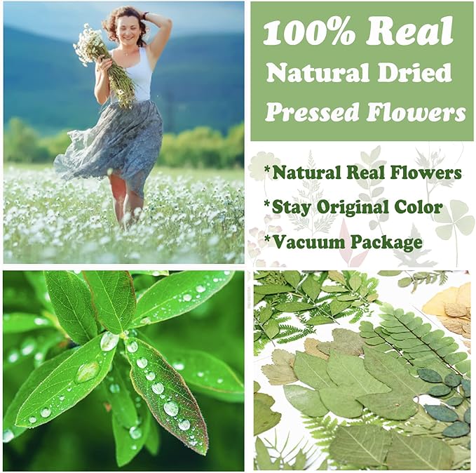 84 Pcs Dried Leaves Pressed Flowers for Resin Molds, Real Natural Assorted Dry Greenery for Leaf Craft DIY, Jewelry Making, Decoration Supplies, Soap and Candle Making