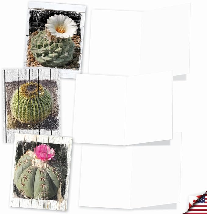 The Best Card Company - 10 Blank Note Cards with Envelopes (4 x 5.12 Inch) - Bulk All Occasion Cards Boxed - Flowering Cactus Spheres AM6439OCB-B1x10