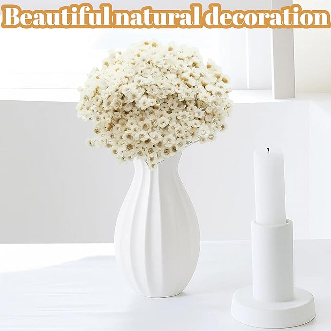 300 PCS Natural Dry Flowers Brazilian Small Star Daisy,13'' White Mini Daisy Chamomile, Dried Daisy Flowers Bouquet for Wedding, Home Decorations, Christmas, Floral Arrangements