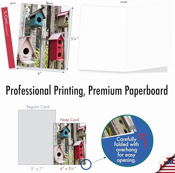 The Best Card Company - 10 Bird Note Cards Blank (4 x 5.12 Inch) - All Occasion Cards with Envelopes, Boxed Set - Birdhouse Beautiful AM6114OCB-B1x10