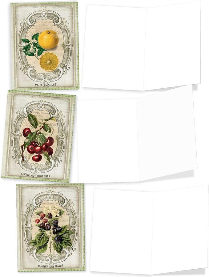 The Best Card Company - 10 Retro Blank Cards with Envelopes (4 x 5.12 Inch) - Artistic Boxed Assortment, Vintage Note Cards - French Fruit M4190OCB-B1x10