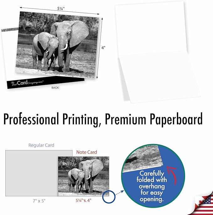 The Best Card Company - 10 Blank Note Cards with Envelopes (4 x 5.12 Inch) - Black & White Photos, Bulk Boxed Set - Trunks of Love M2370OCB
