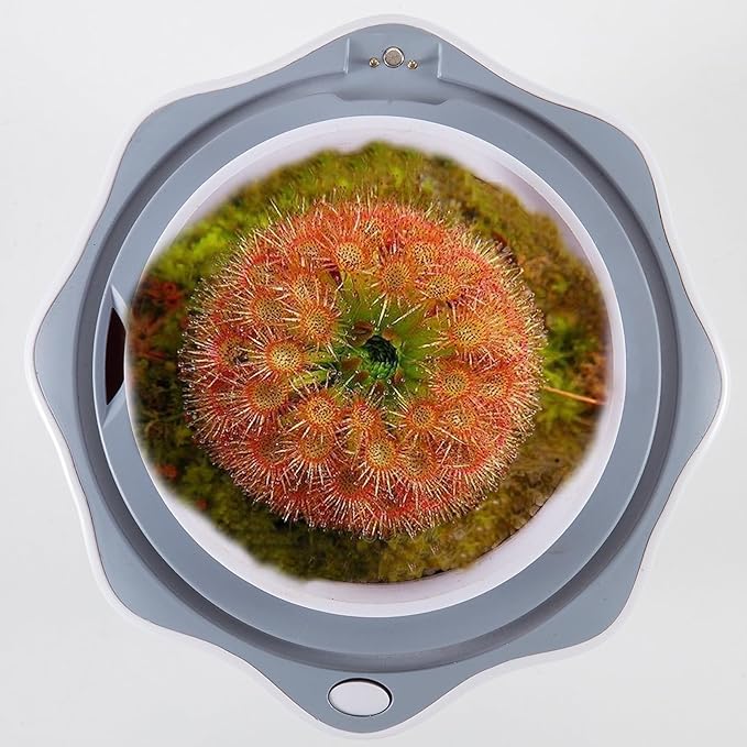 Venus Fly Trap Terrarium Pot with Timer Grow Light&Fan,Plant Terrarium kit for Moss&Cactus,Smart Planter for Carnivorous Plants&Butterwort,Valentine Birthday Gifts for Women Garden Lover(no Plant)