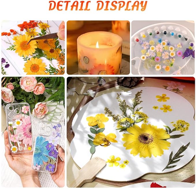 Dried Pressed Flowers for Resin Model, Real Pressed Barberton Daisy Bulk Natural Herbs Kit for Scrapbooking DIY Art Crafts, Epoxy Jewelry, Candle, Soap Making, Nails Decor