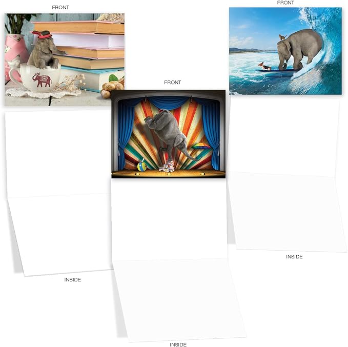 The Best Card Company - 10 Blank Animal Cards Boxed (4 x 5.12 Inch) - Assorted Pets, Zoo, Wildlife Cards for Kids - Elefantasy M6579OCB
