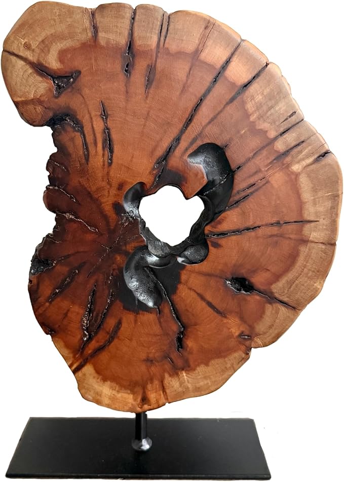 THY COLLECTIBLES Irregular Handcarved Root Wood Sculpture, Wood Tabletop Abstract Standing Sculpture for Home Decor Natural Edge Tabletop Statue Tree Stump - Small (W7.75in x H11in)