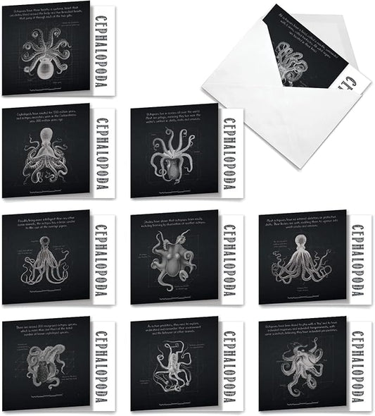 The Best Card Company - 10 Blank Note Cards with Envelopes (4 x 5.12 Inch) - Octopus Photos, Bulk Boxed Set - Octo-Facts MQ4957OCB-B1x10-NB