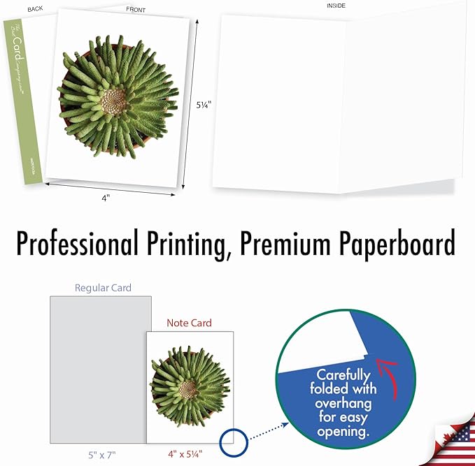 The Best Card Company - 20 Assorted Blank Plant Cards Boxed (4 x 5.12 Inch) (10 Designs, 2 Each) - Luscious Succulents AM6287OCB-B2x10