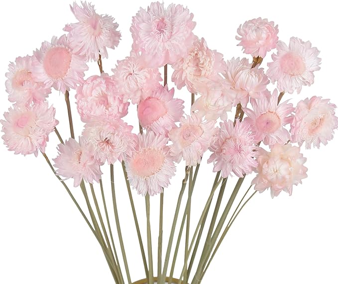 20 Pcs Natural Dried Daisy Flowers Bouquet Dried Flower Daisies Light Pink Dried Sunflowers Chrysanthemum with Stem for Wedding Farmhouse Table Vase Decor Home DIY Flower Arrangement