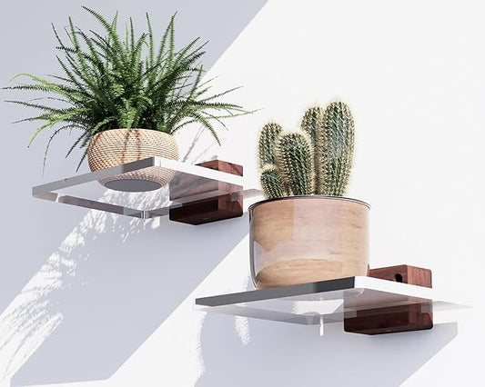Acrylic Floating Shelves with Solid Wood Base, Wall Mounted Shelf for Plants, Perfume, Nail Polish, Bathroom, Bedroom & Living Room Decor