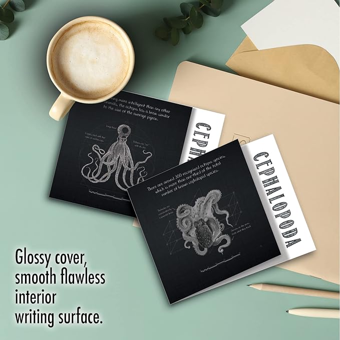 The Best Card Company - 10 Blank Note Cards with Envelopes (4 x 5.12 Inch) - Octopus Photos, Bulk Boxed Set - Octo-Facts MQ4957OCB-B1x10-NB