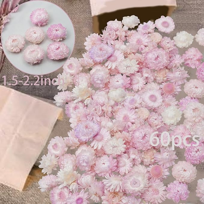 60 Pcs Natural Dried Daisy Flowers Heads Bulk Gerbera Daisies Pink Real Sunflowers Chrysanthemum Dry Flower Arrangements for Wedding Decor Home Party Decoration Headband DIY Craft