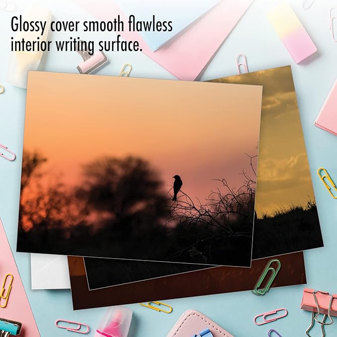 The Best Card Company - 10 Blank Animal Cards Boxed (4 x 5.12 Inch) - Assorted Pets, Zoo, Wildlife Cards for Kids - Safari Sunsets M6551OCB