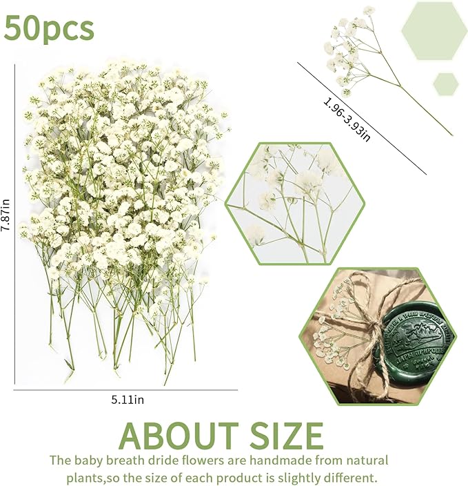 50Pcs Mini Dried Pressed White Baby’s Breath Flowers Bulk - Real Natural Flat Flowers for Epoxy Craft, Scrapbooking, Wedding Invitations, Home Decor, DIY Gifts for Crafters & Event Planners (50)