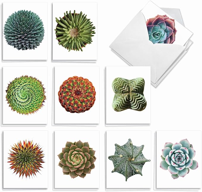 The Best Card Company - 20 Assorted Blank Plant Cards Boxed (4 x 5.12 Inch) (10 Designs, 2 Each) - Luscious Succulents AM6287OCB-B2x10