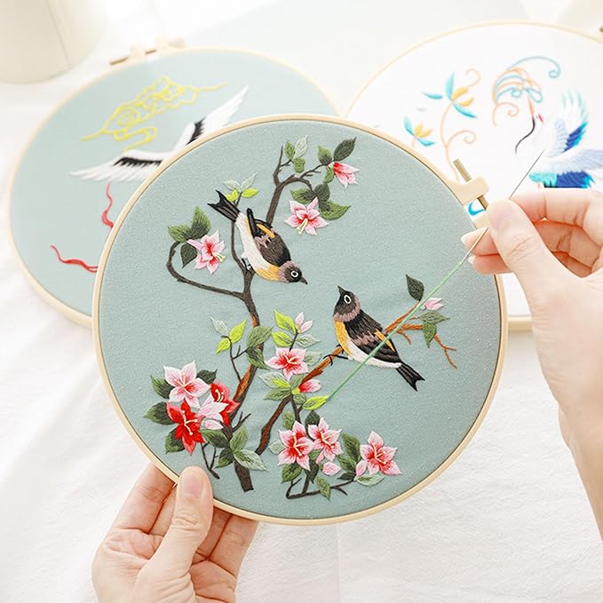 Ohcol 3 Pack Bird Embroidery Kits,Cross Stitch Needlepoint Kits for Adults Beginner,Needle Point Kits with Washable Pre-Printed Pattern,3 Hoops