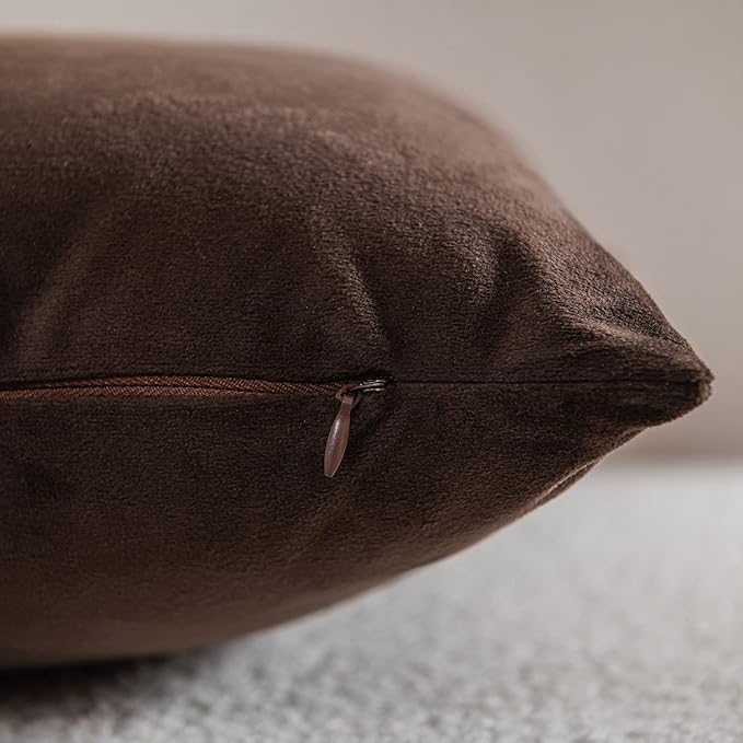 Decorative Pillow Cases 12x20 Chocolate Brown: 2 Pack Cozy Soft Velvet Rectangular Throw Pillow Covers for Farmhouse Home Decor