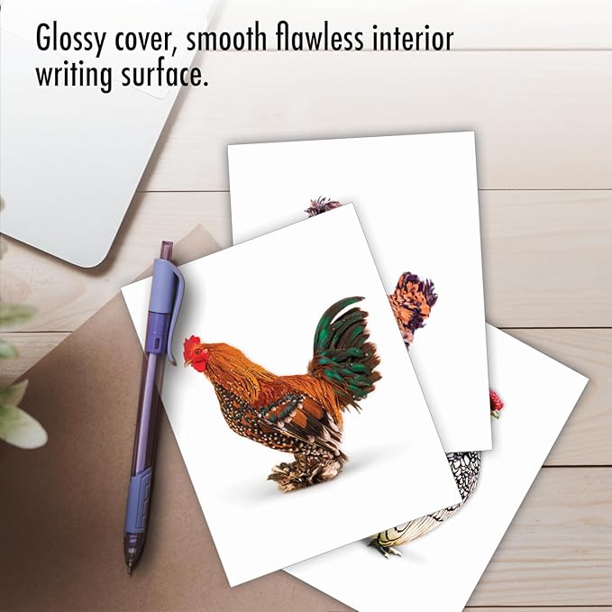 The Best Card Company - 20 Blank Birds Notes with Envelopes - All Occasion Chicken Assortment (10 Designs, 2 Each) - Exotic Roosters AM7059OCB-B2x10