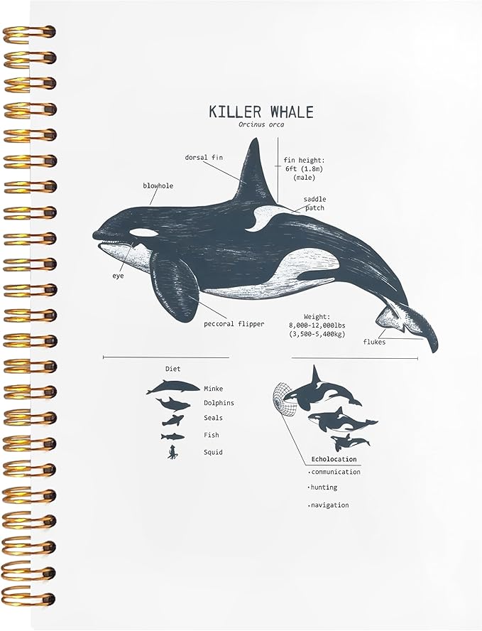 Killer Whale Notebook Journal for Note Taking, Marine Biology Gifts, Ocean Animal Beach Spiral Notebook, Ocean Themed Gifts, 5.5x8.3 Inch