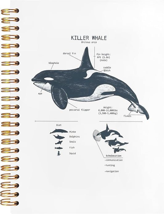 Killer Whale Notebook Journal for Note Taking, Marine Biology Gifts, Ocean Animal Beach Spiral Notebook, Ocean Themed Gifts, 5.5x8.3 Inch