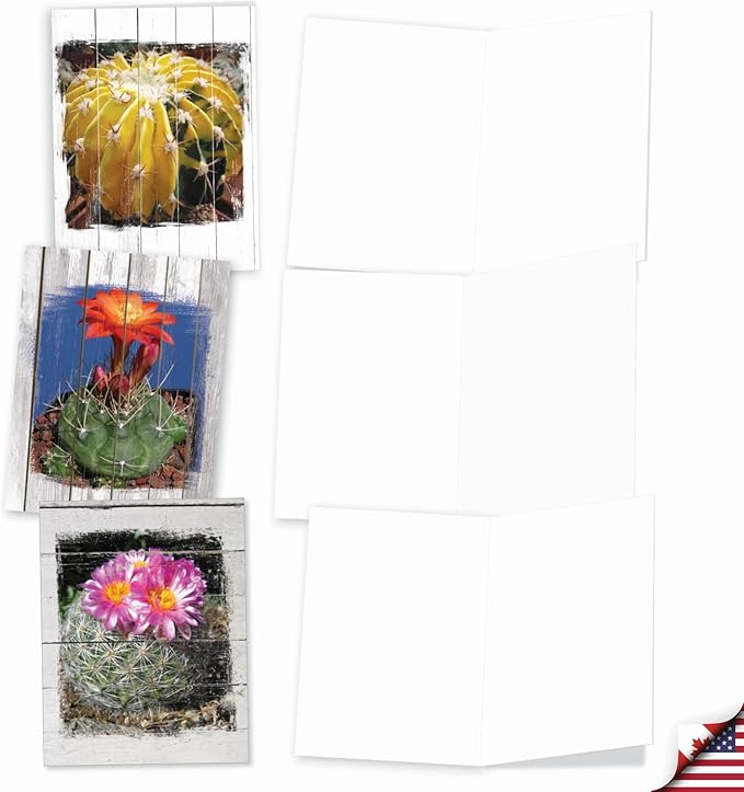 The Best Card Company - 10 Blank Note Cards with Envelopes (4 x 5.12 Inch) - Bulk All Occasion Cards Boxed - Flowering Cactus Spheres AM6439OCB-B1x10