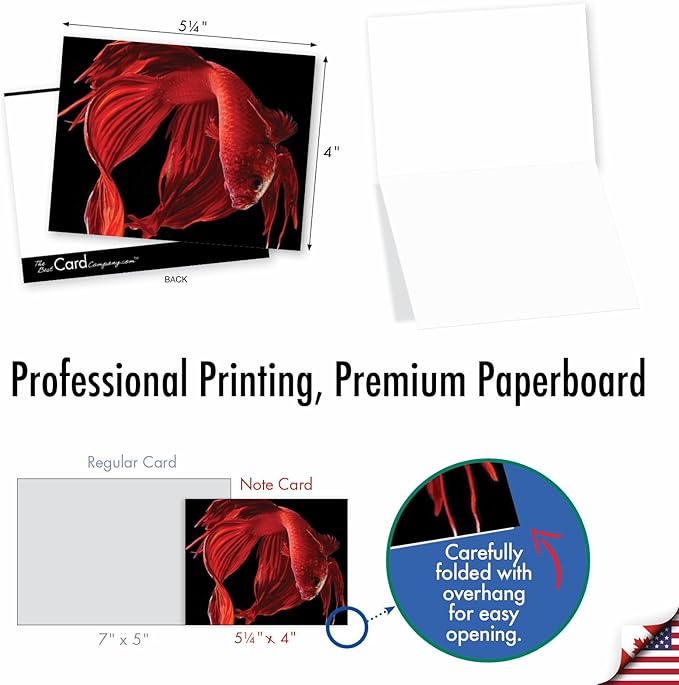 The Best Card Company - 10 All Occasion Blank Cards for Men and Women (4 x 5.12 Inch) - Nautical, Ocean, Sea Life Assortment of Notecards - Fancy Fins M1630BN