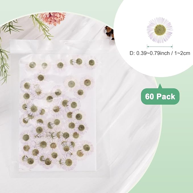 60-Pack Dried Pressed Flowers for Resin, Real Natural Bulk Dry Floral for Crafts/DIY Jewelry/Soap Making/Scrapbooking/Handmade Candle/Epoxy Resin Supplies [White]