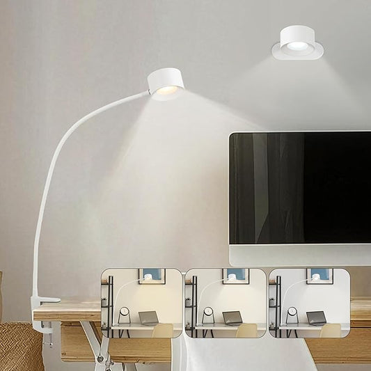 Portable and Rechargeable LED Desk Lamp,Versatile Lighting Solution for Office, Study, and Outdoor Activities，White
